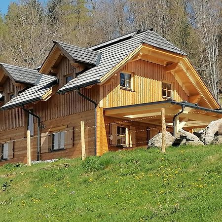 Villa Laerchenhaus ,,Unterer Brodl" Sankt Peter am Kammersberg Esterno foto