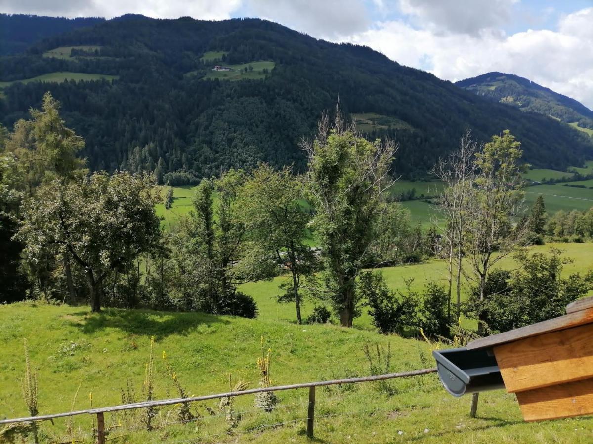 Villa Laerchenhaus ,,Unterer Brodl" Sankt Peter am Kammersberg Esterno foto
