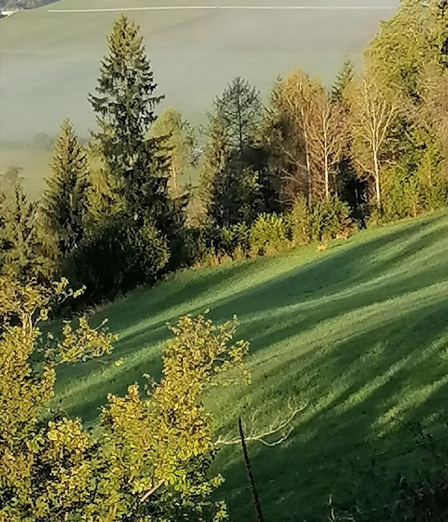 Villa Laerchenhaus ,,Unterer Brodl" Sankt Peter am Kammersberg Esterno foto