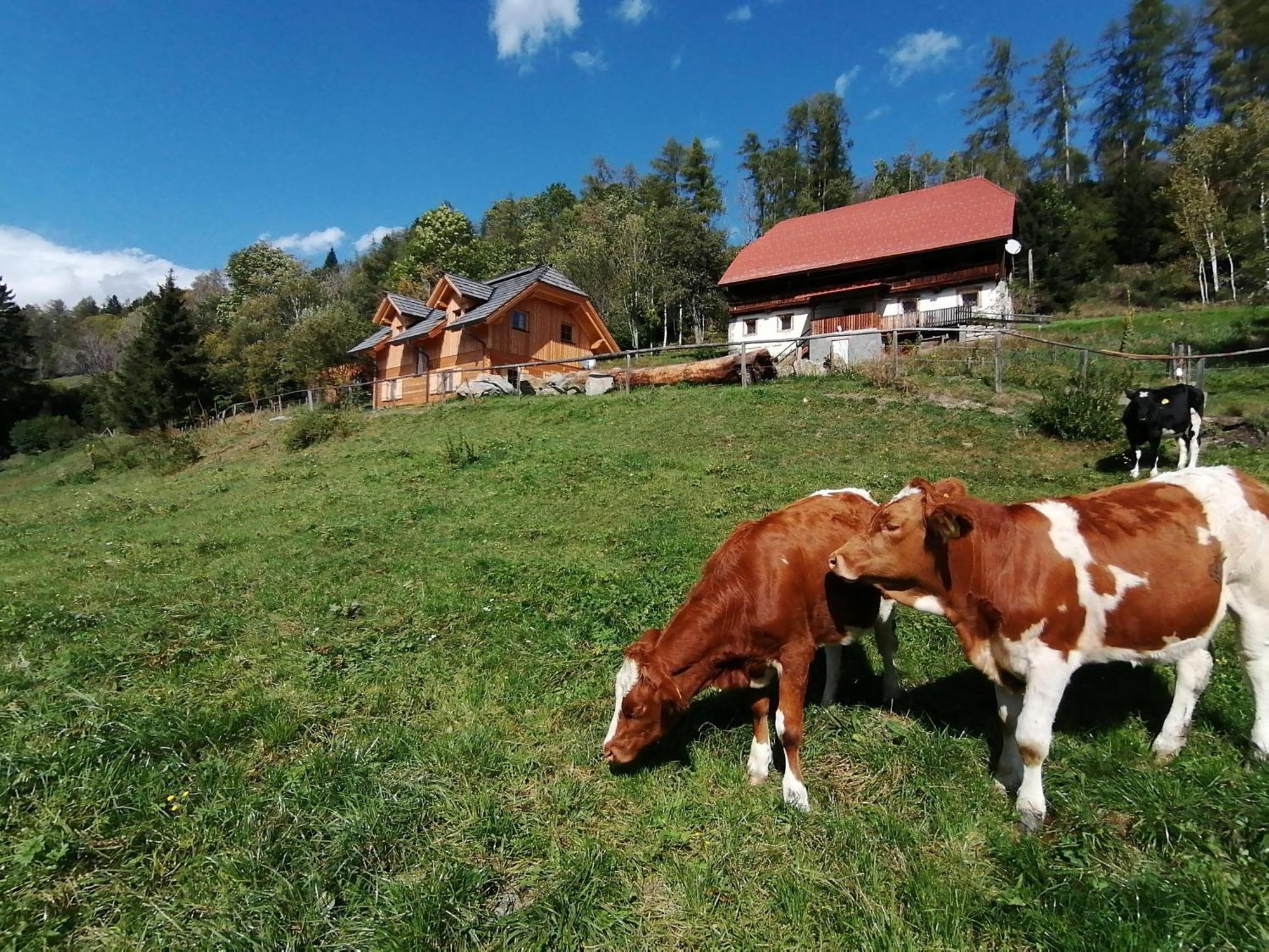 Villa Laerchenhaus ,,Unterer Brodl" Sankt Peter am Kammersberg Esterno foto