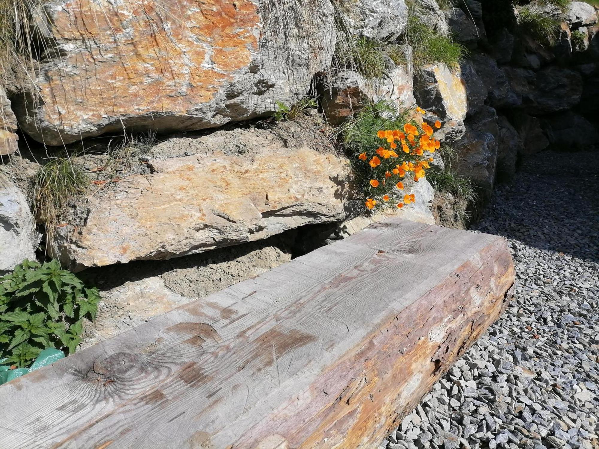 Villa Laerchenhaus ,,Unterer Brodl" Sankt Peter am Kammersberg Esterno foto