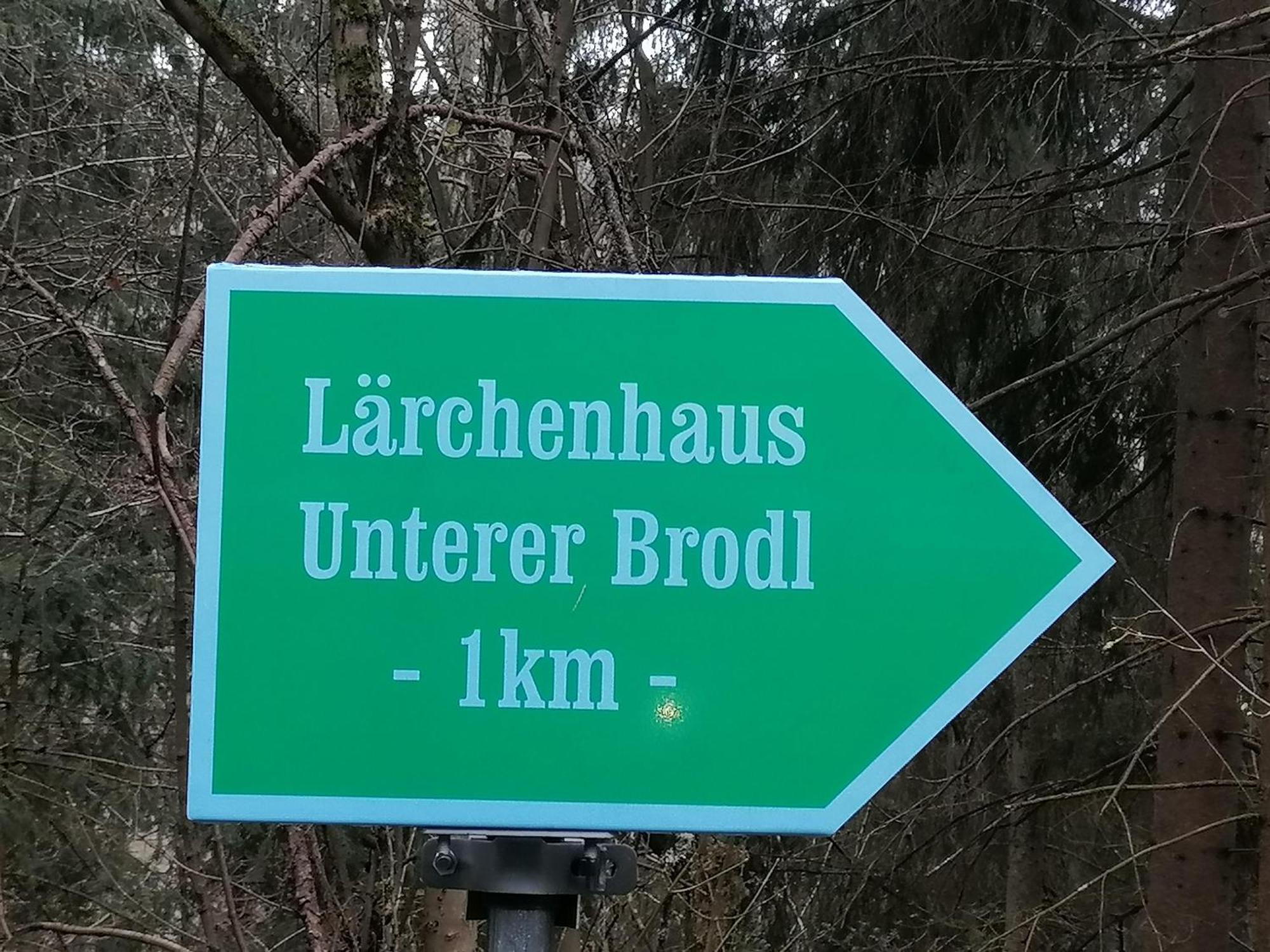 Villa Laerchenhaus ,,Unterer Brodl" Sankt Peter am Kammersberg Esterno foto