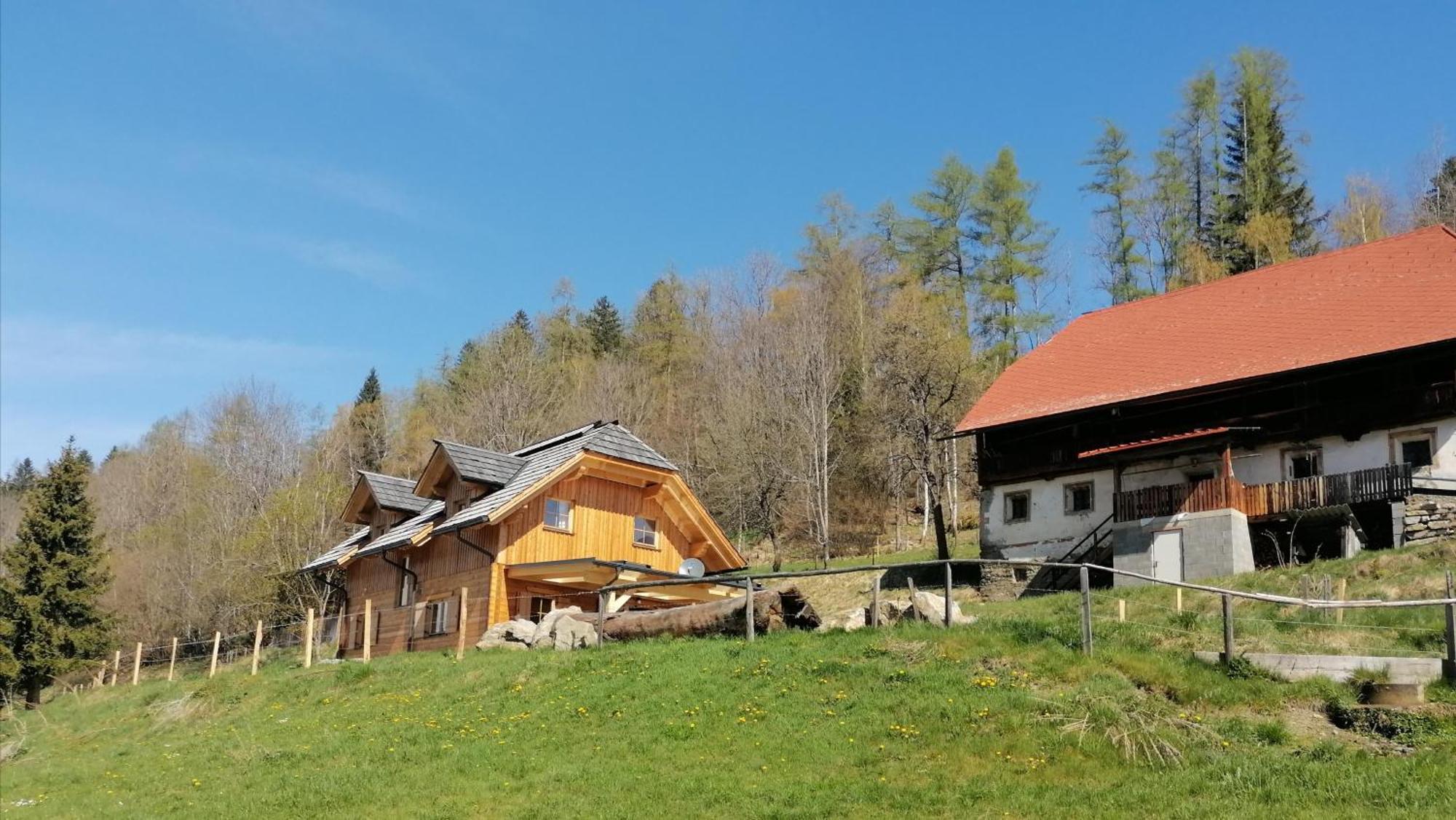 Villa Laerchenhaus ,,Unterer Brodl" Sankt Peter am Kammersberg Esterno foto