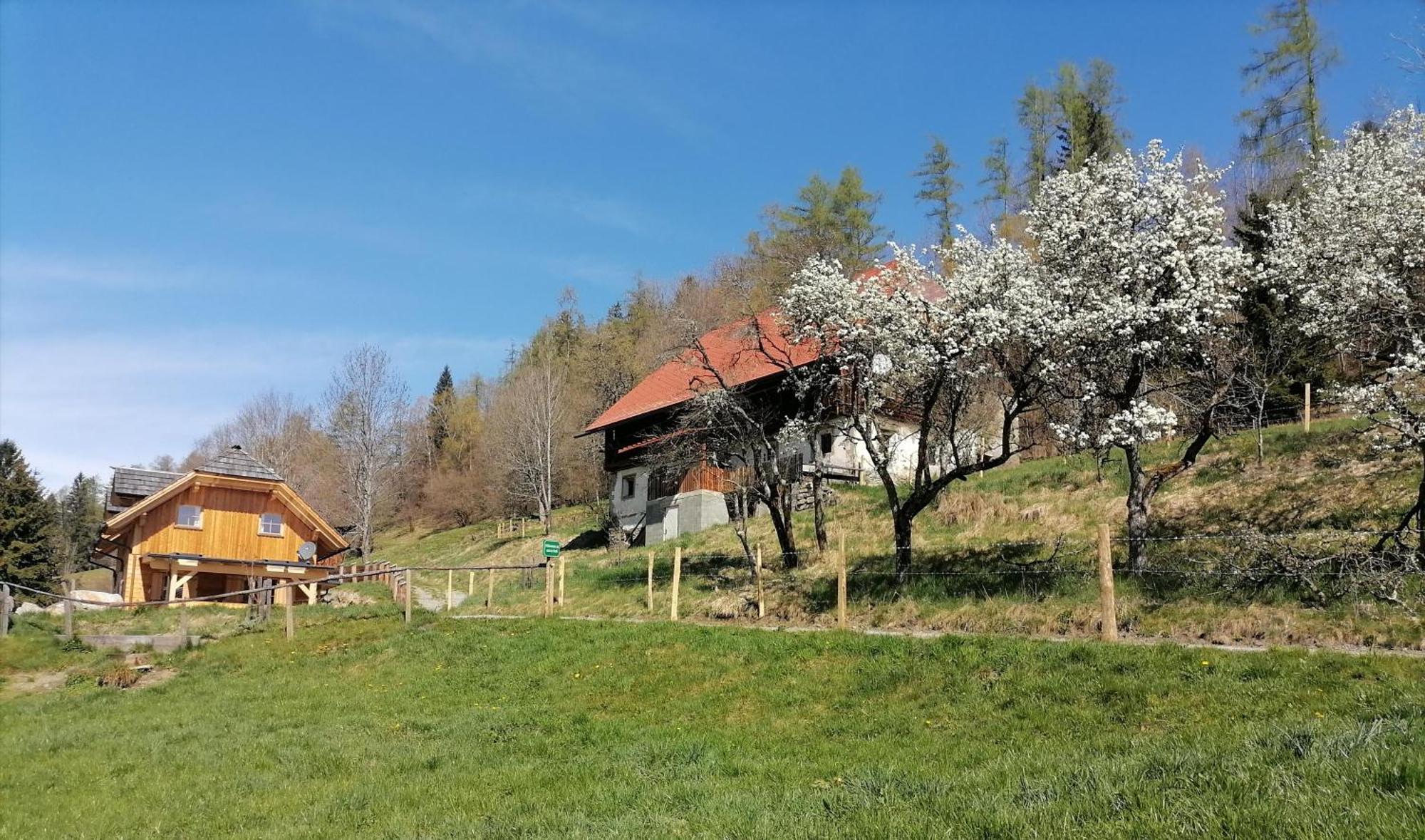 Villa Laerchenhaus ,,Unterer Brodl" Sankt Peter am Kammersberg Esterno foto