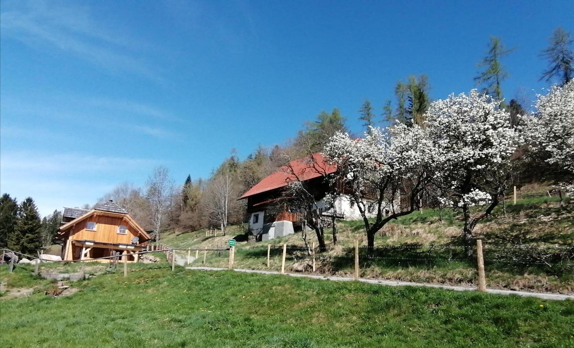 Villa Laerchenhaus ,,Unterer Brodl" Sankt Peter am Kammersberg Esterno foto